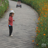 �����ڴ����ݵ���