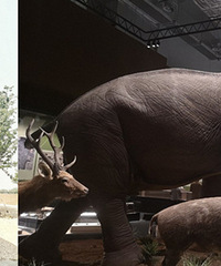 ����亿��˸�����ݣ���Ƴ�����