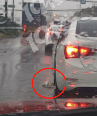 ����Ŷ� ǰ������һ�� �ӳ�������