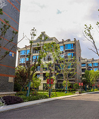 һ�����͹���¥�̣���ҵ��ߵ������