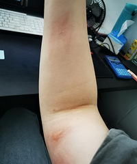 ����ã����졿������ҧ�����ְ��� ��֪�������������