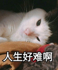 90��MM ��������ҵ �з��г� ��Ҫһ�����������