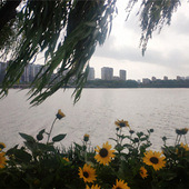 Ҧ�ҵ���԰�羰����