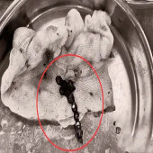 3��С�����̴�����