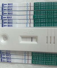 �������������ڻ��� һ��ʼ����Ϊ�Լ��ۻ�