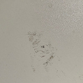 ˢ��Ĥ�Ľ���������