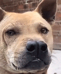 90���з��г�GG Ѱ���Ķ��۵�MM