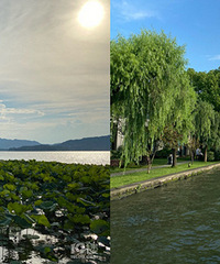 �����������������õ�����