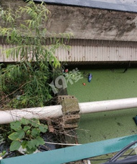 ���ĵ�������˳��ֳ��������һ�桭