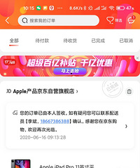 �����µ�����͵���������6274���256Gipadpro