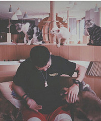 ��è������һ��Ԫ������