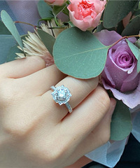 80�ֶ����������� ̫�����������