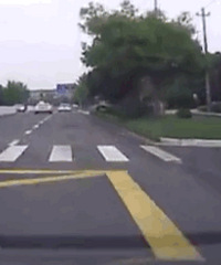 ��һ�����е��װ���