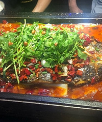 N�ι�˵Ĺھ�¯�� �ع����������