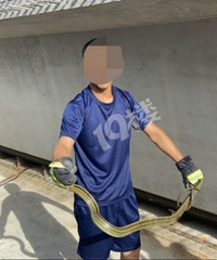 ������ ����Ҳ�����ˣ�