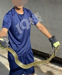 ��һ�� �����������ˣ��ô�һ����