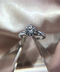 �����ŵľ�ϲ ������צѩ�����