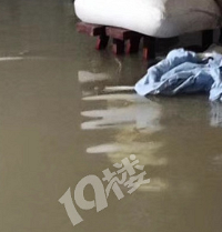 ÷�꼾�����һ�� ���������ˣ�