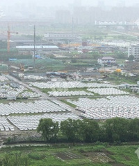 ����������ǧ���ɣ����ɷ�Ʒ�ˣ�