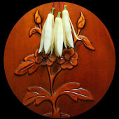 ���������˺���ѽ