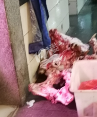 �ѵ�ȥ�˲˳� ���Ǳ������ˡ�