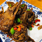 �ϻ��˵Ľ���Ѽͷ����