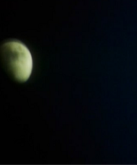 ¥���ھӼҵ��� ��ҹ12�㻹������