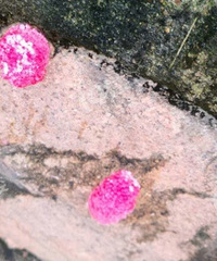 �����������������Ǹ����ݵ��Ѱɣ�