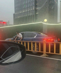 ����Ѱ��·��������һ��Ҫ���ڷǻ��������ϣ�