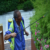 �������� ���в�����