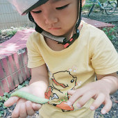 ɭ��̽�ռ��ջ�ܶ�