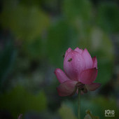 ���ϻ��� ��������