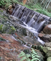 �����������ߣ�