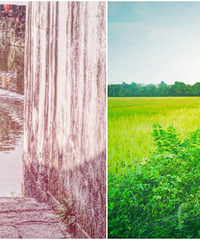 ���ϻ�ɫ�����ڹŽ��ر�����ζ����