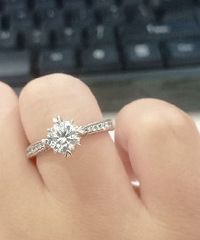 ������צ��� ���е����궼������