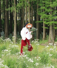 ���ƺ��ʺϺ������� ��������ĳ�������