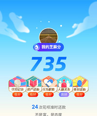 支付宝芝麻分出来了 这高分有啥用
