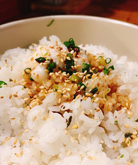 ���첻���� ҹ���㲻�� ��������Ե������ı���