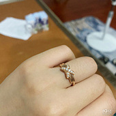 ����ĸX���ƿ����