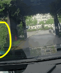 ����5�����ޱ�����ײ �⹫���ں󷽣�