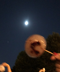 80������MM ��ϵ�ѵ� ϲ���Բ��и�