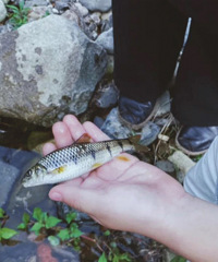 �Ƽ�һ��������ˮ�����ȥ����