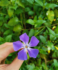 85��MM �������� ���ο���С�Ի� ���������ߵ���