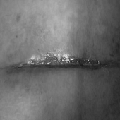 ֬��Һ��̫������