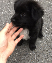 û�򷿵Ŀ��ܺ���̸������