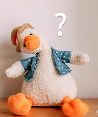 һ��Ľ�������5�仰 ΪʲôҪ��飿