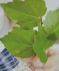 ���ҵ��ļ����Ů����һ��Ҫ��JK���գ���ϵ+С���� ���ÿ�