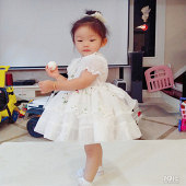 �����������ȹ