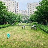 ���ҵ����嶯���˷���