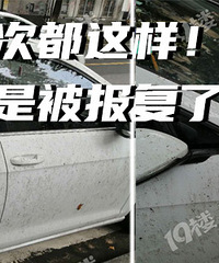 б����ͣ���Ұ���������